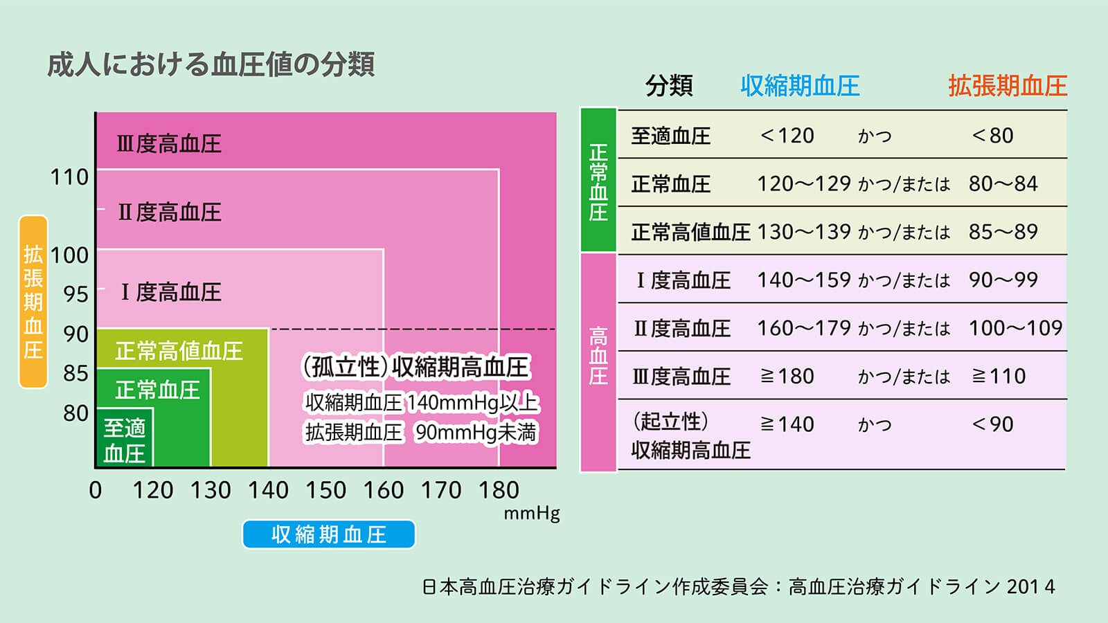 収縮期と拡張期